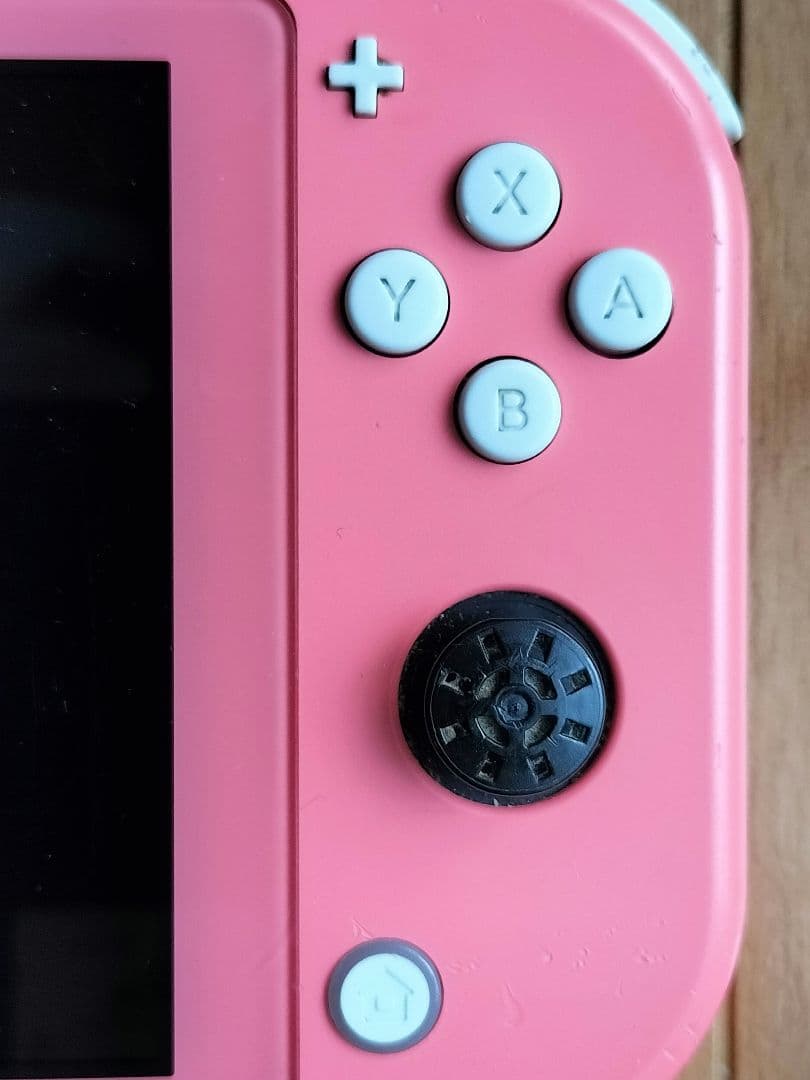 Nintendo Switch Lite 本体とマイクロSDカード ジャンク品