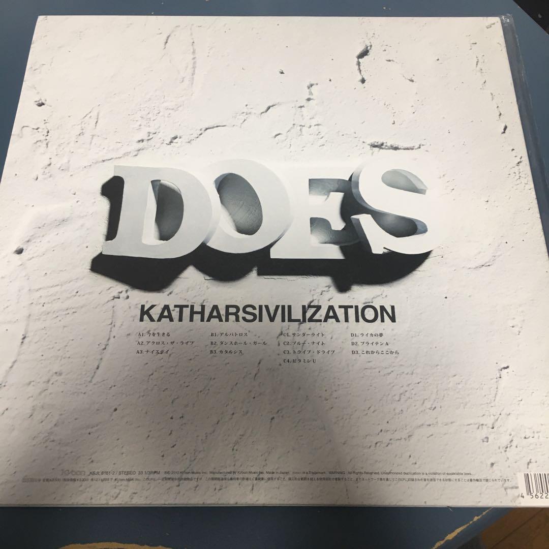 貴重レコード　DOES/katharsivilization