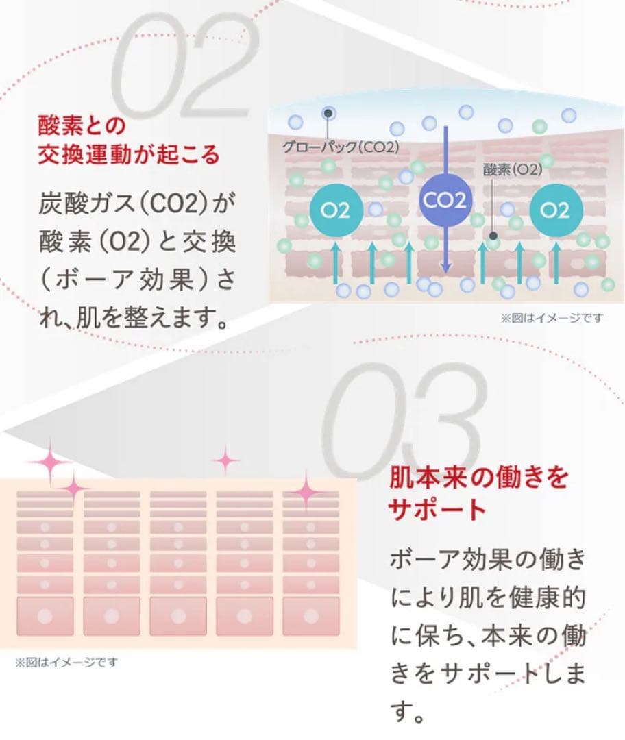 【新品】エニシー　グローパックセット（炭酸ガスパック/10回分）
