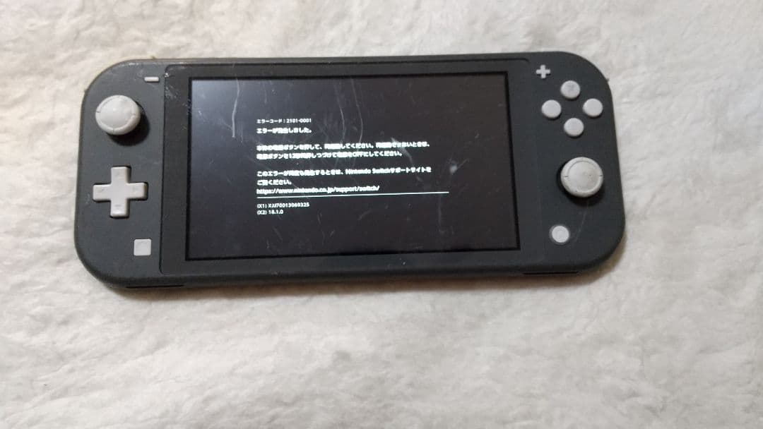 ジャンク エラー Nintendo Switch Lite ブラック 本体