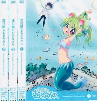 波打際のむろみさん DVD全巻完結セット