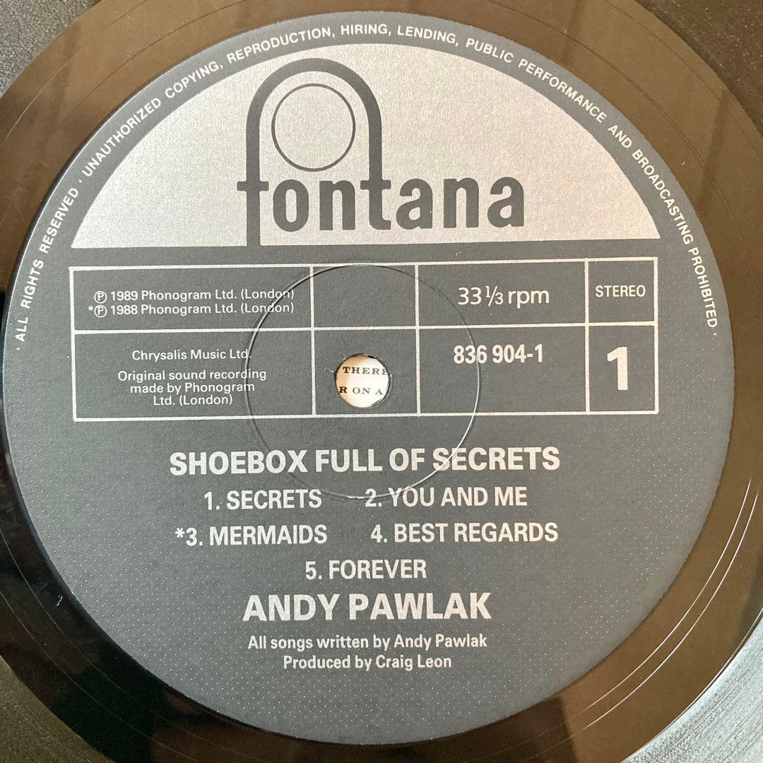 ANDY PAWLAK レコード ネオアコ