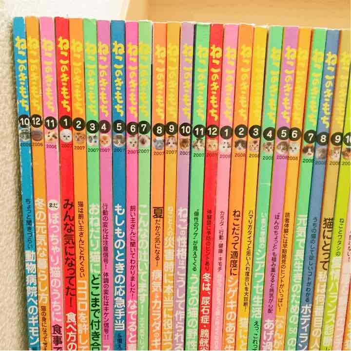 ねこのきもち 62冊