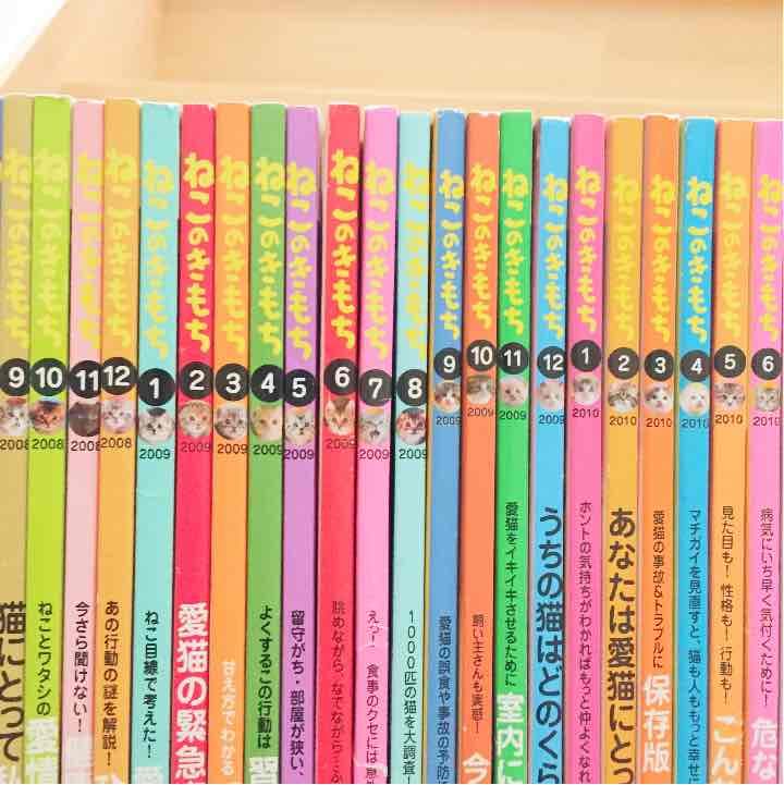 ねこのきもち 62冊