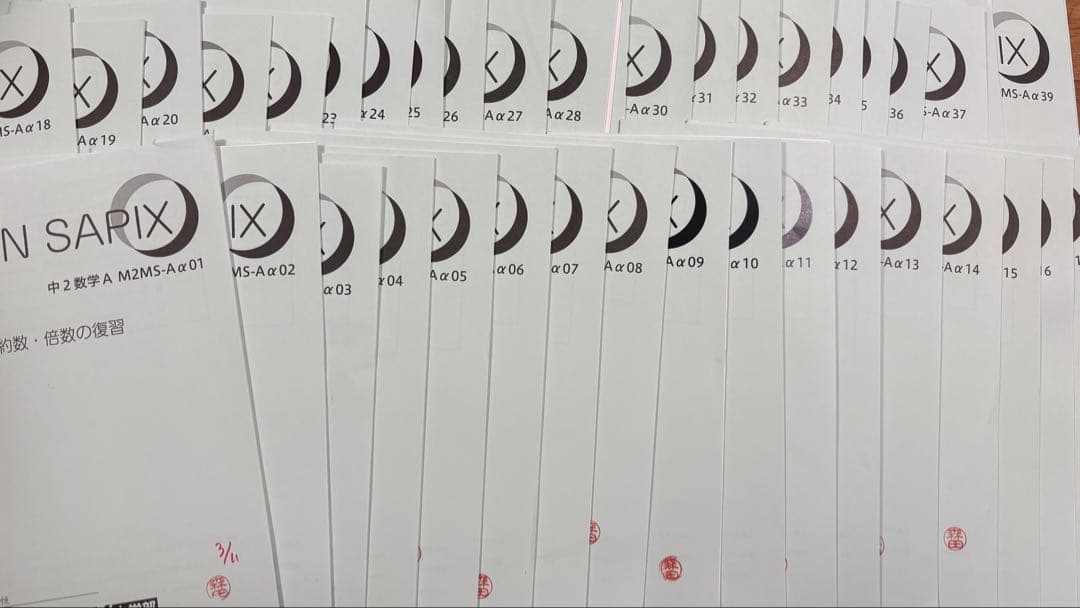 【SAPIX中学部】中２数学　MAIN SAPIX・春期講習・夏期講習・冬期講習