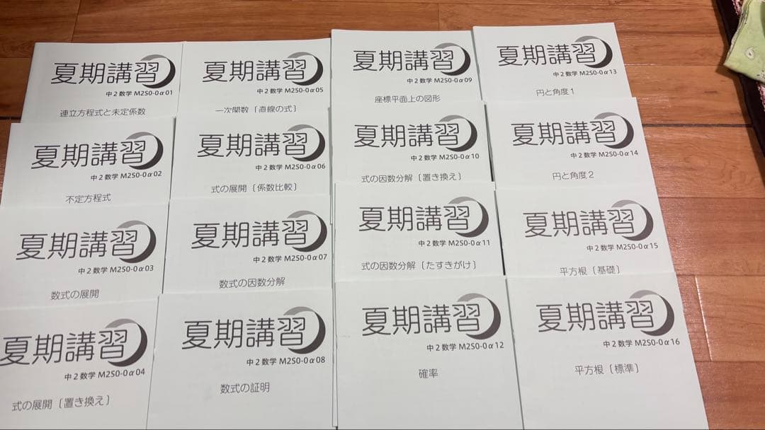 【SAPIX中学部】中２数学　MAIN SAPIX・春期講習・夏期講習・冬期講習
