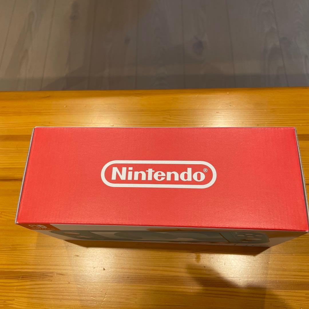 ニンテンドー Switchライト ターコイズ
