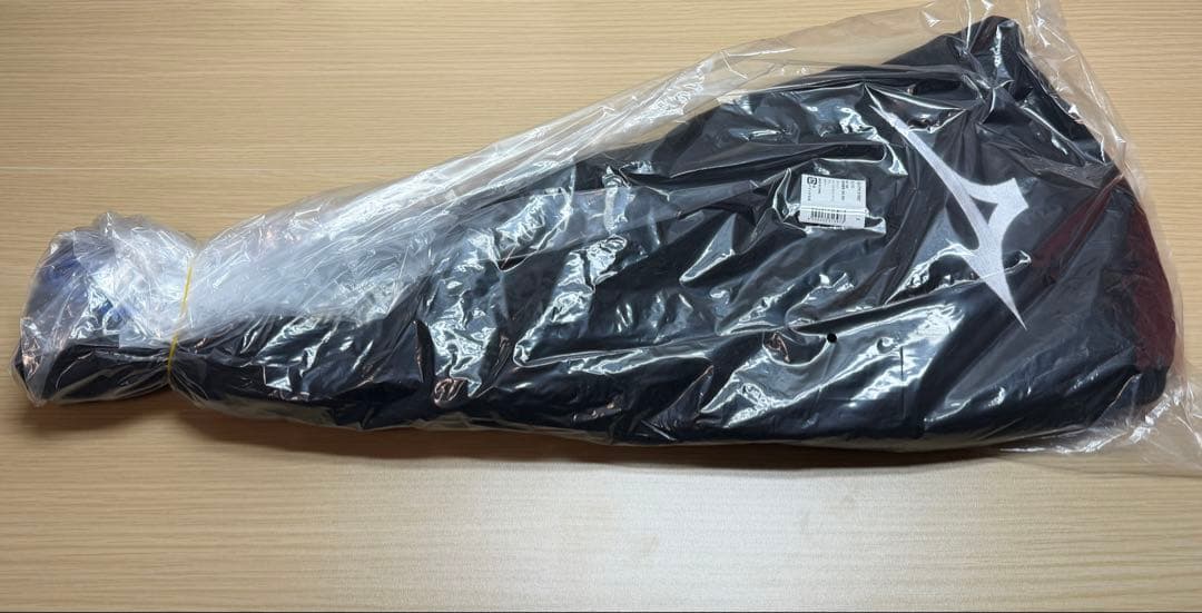 未使用品 テニスラケット ミズノ D310 ソフトケース付属