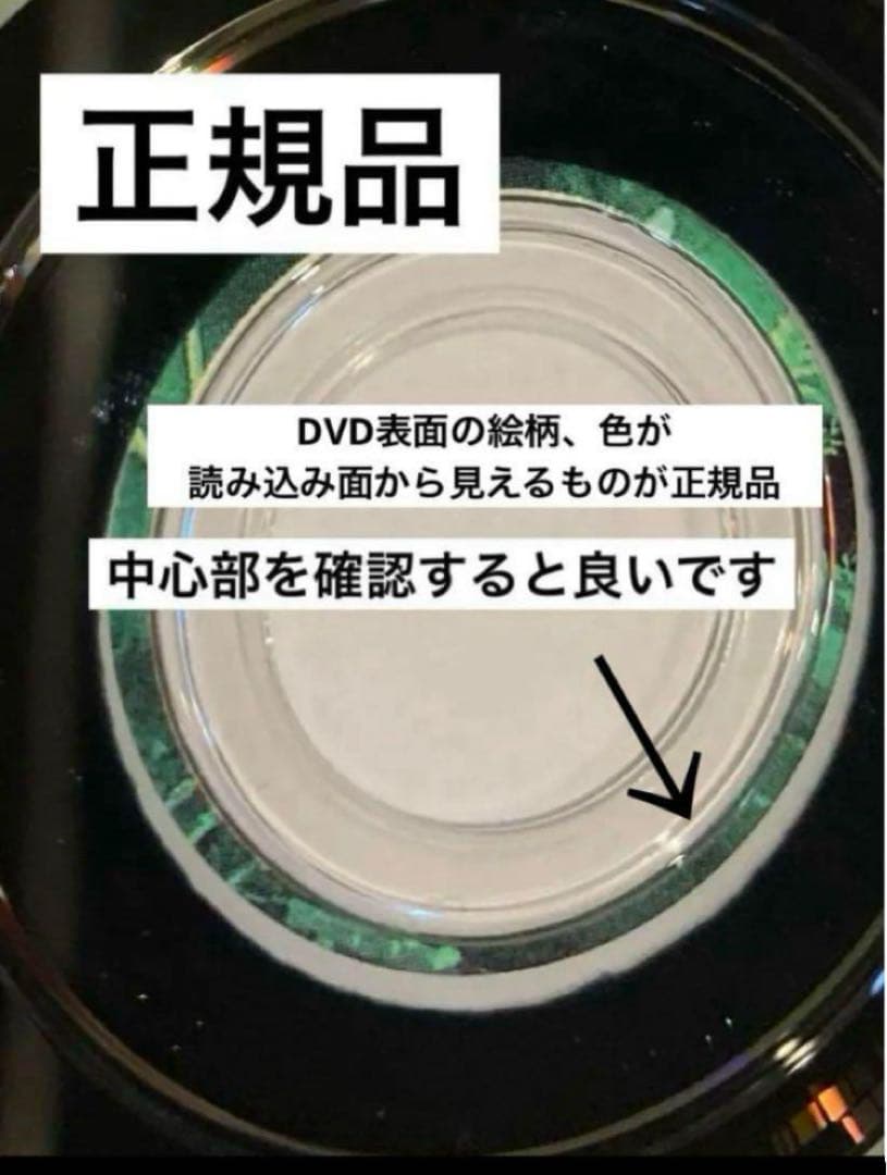ジブリDVD本編ディスク１１枚(164)