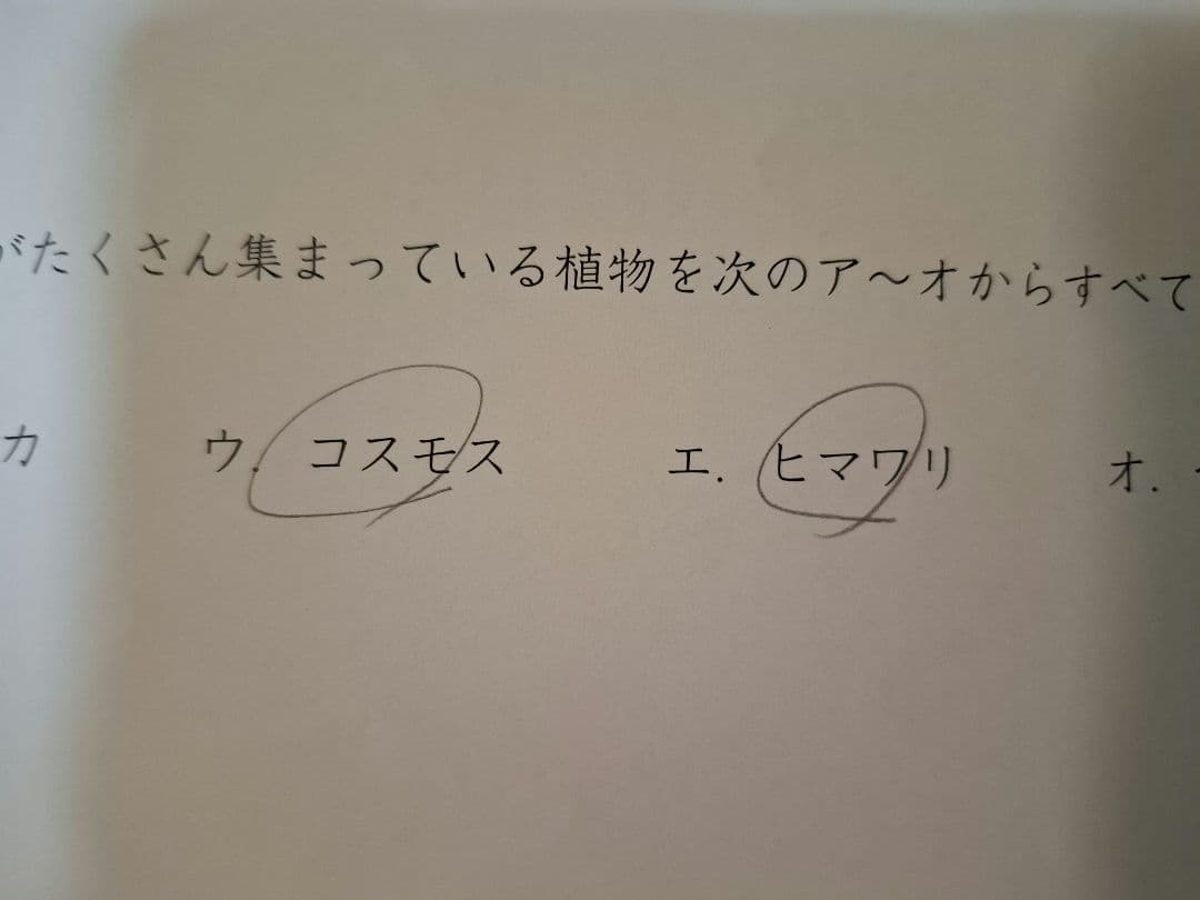 成基学園　オープンテスト　小学4年　2022年度　浜学園　日能研　馬渕