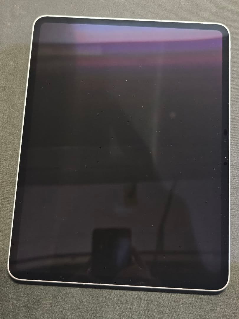 Apple 13インチ iPad Pro (M4) セルラー256GB おまけ付