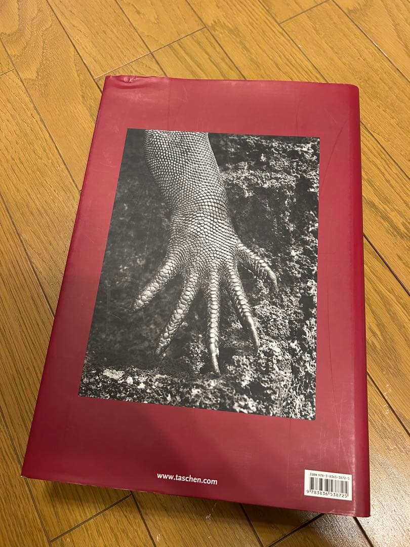 SEBASTIAO SALGADO:GENESIS　セバスチャン・サルガド
