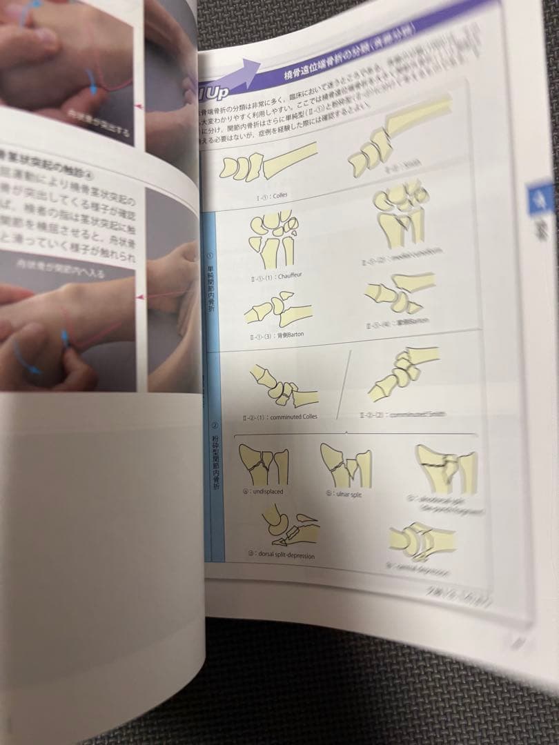 機能解剖学的触診技術 改訂第2版 2冊セット　理学療法士　作業療法士　リハビリ