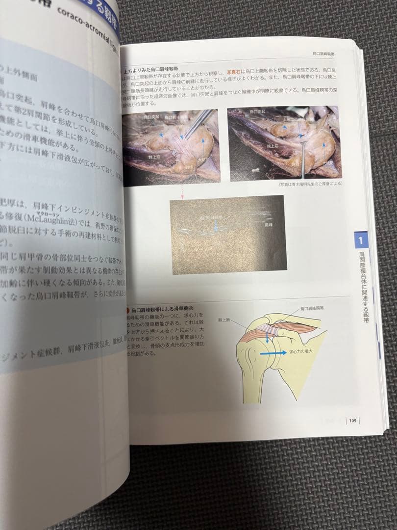 機能解剖学的触診技術 改訂第2版 2冊セット　理学療法士　作業療法士　リハビリ