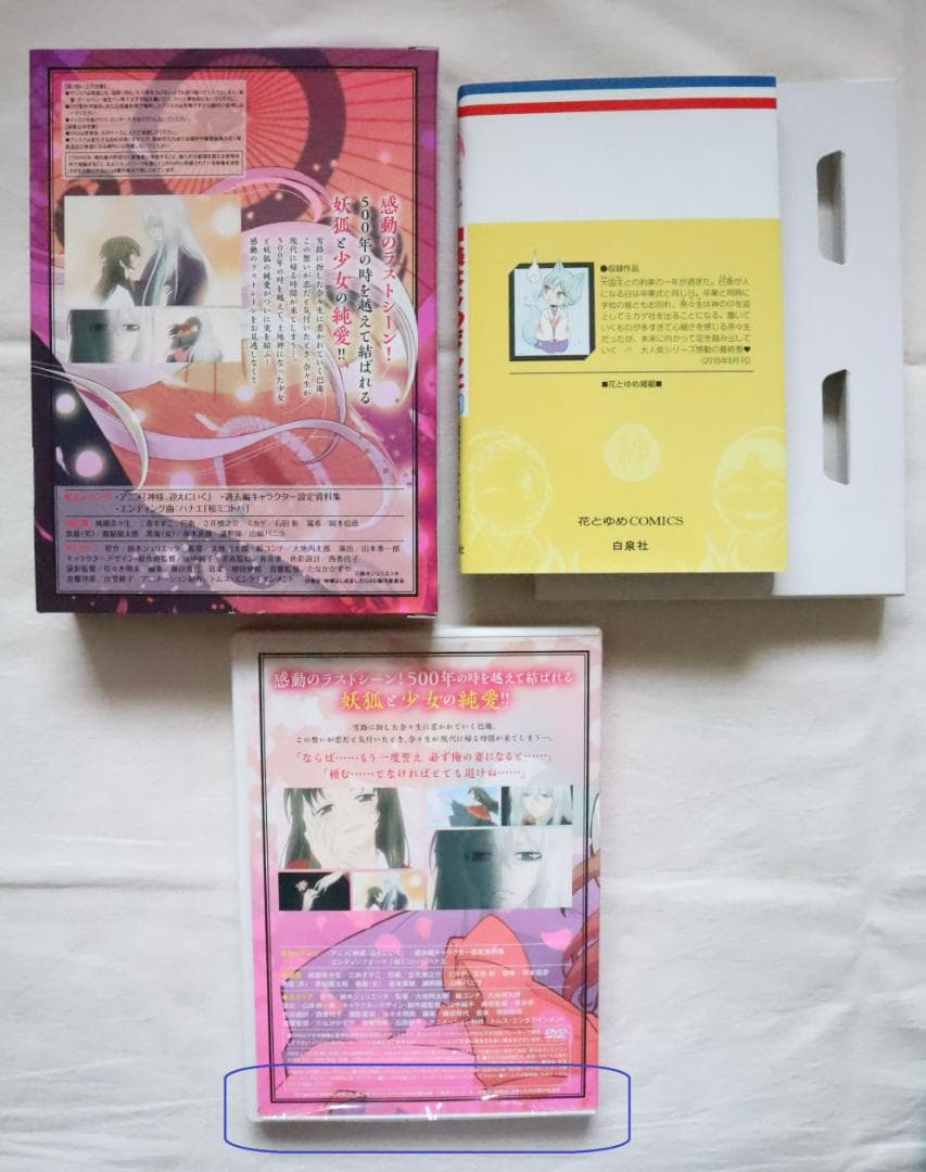 神様はじめました 25巻 オリジナルアニメDVD付限定版 鈴木ジュリエッタ著