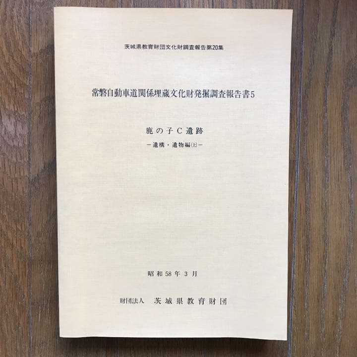 鹿の子C遺跡　茨城県教育財団文化財調査報告書　全４巻　発掘　漆紙文書　考古学
