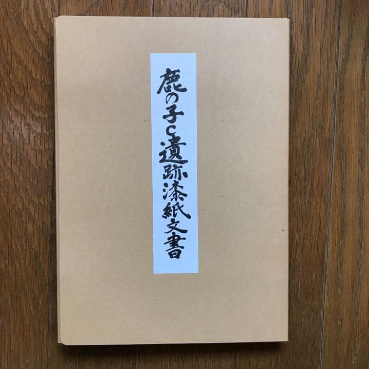 鹿の子C遺跡　茨城県教育財団文化財調査報告書　全４巻　発掘　漆紙文書　考古学