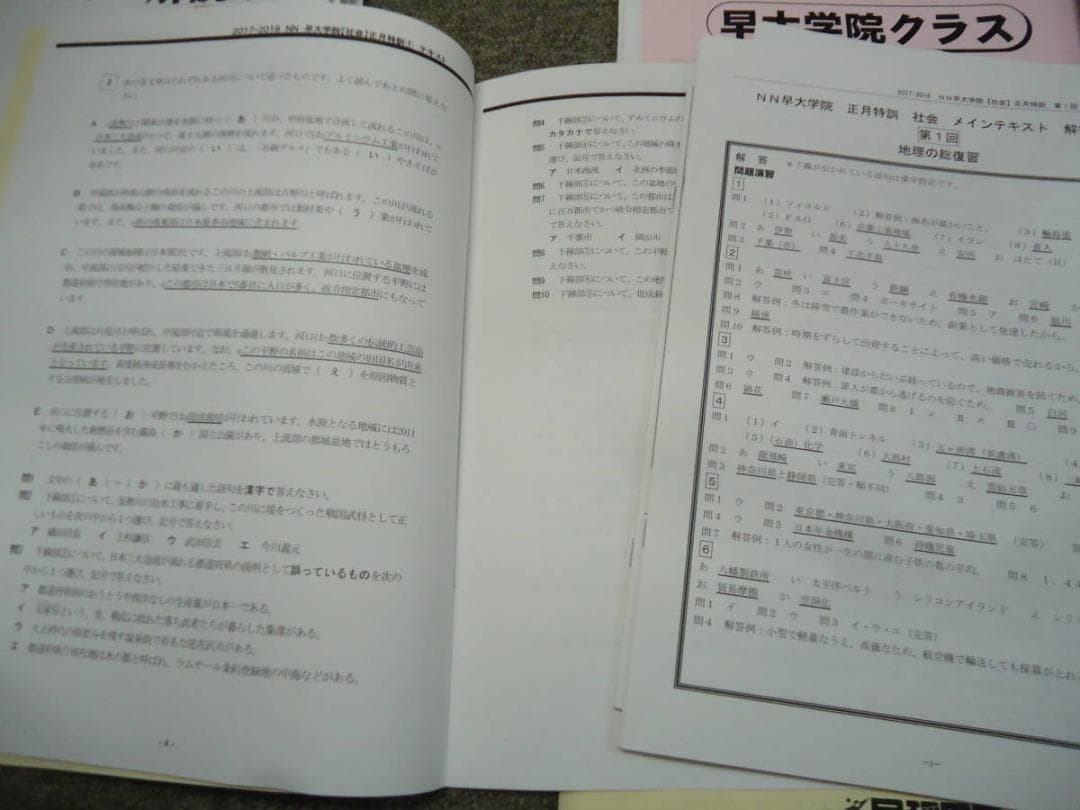 早稲田アカデミー　NN早大学院　正月特訓/直前特講/その他　2017年度版