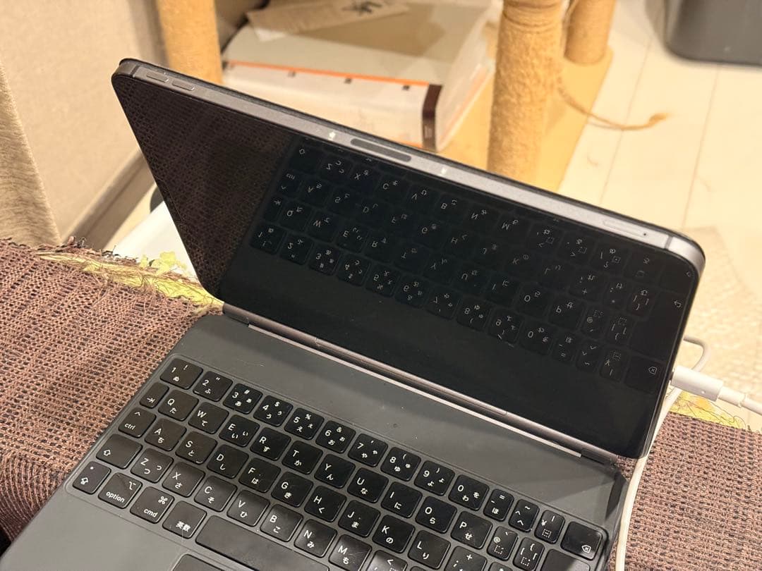 iPad Pro 11 第三世代 M1 128GB WiFi+Cellular