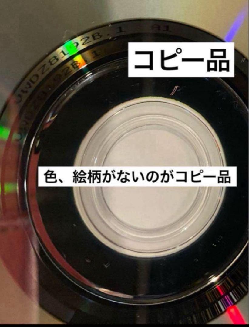 ジブリDVD11枚　本編ディスク10枚ともののけ姫8ヶ国語版合計11枚(199)