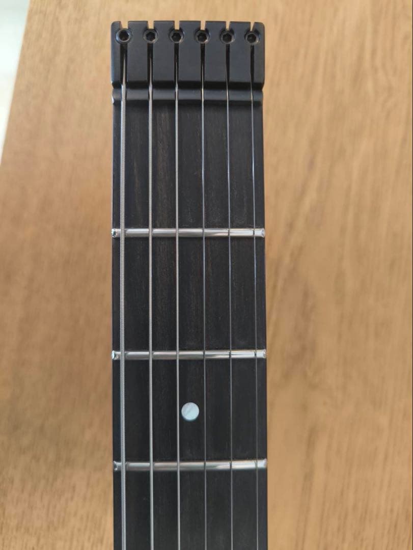 ギター Kiesel HH2 Allan Holdsworth Signature