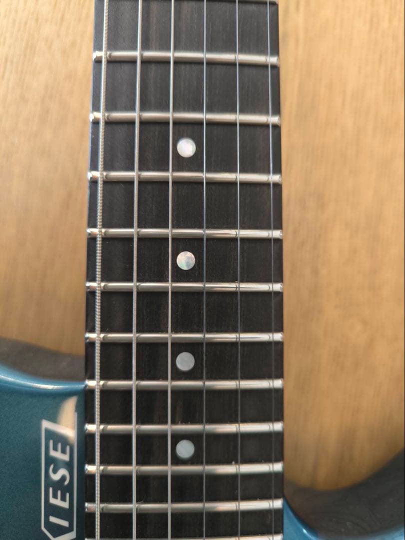 ギター Kiesel HH2 Allan Holdsworth Signature