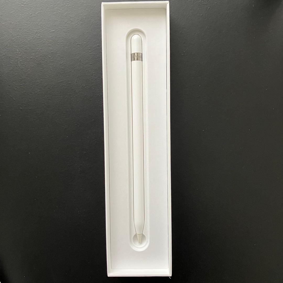 Apple Pencil USB-C to Apple Pencil セット