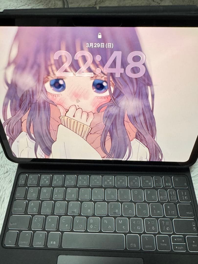 すぐ売れて欲しいです。Apple iPad Pro m5 11インチ 512GB