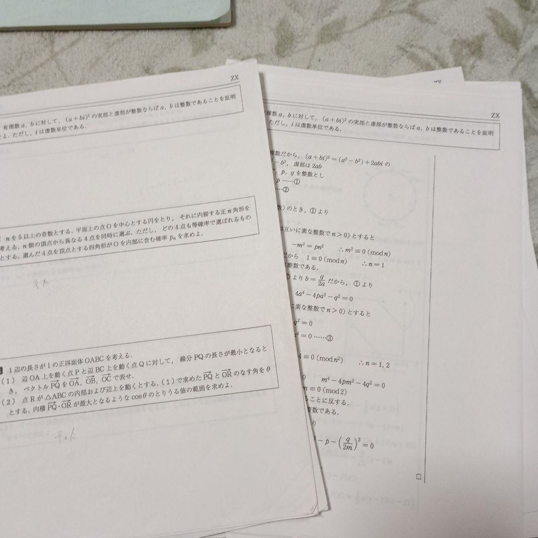 駿台 数学ZX 2024年度 前期・後期セット