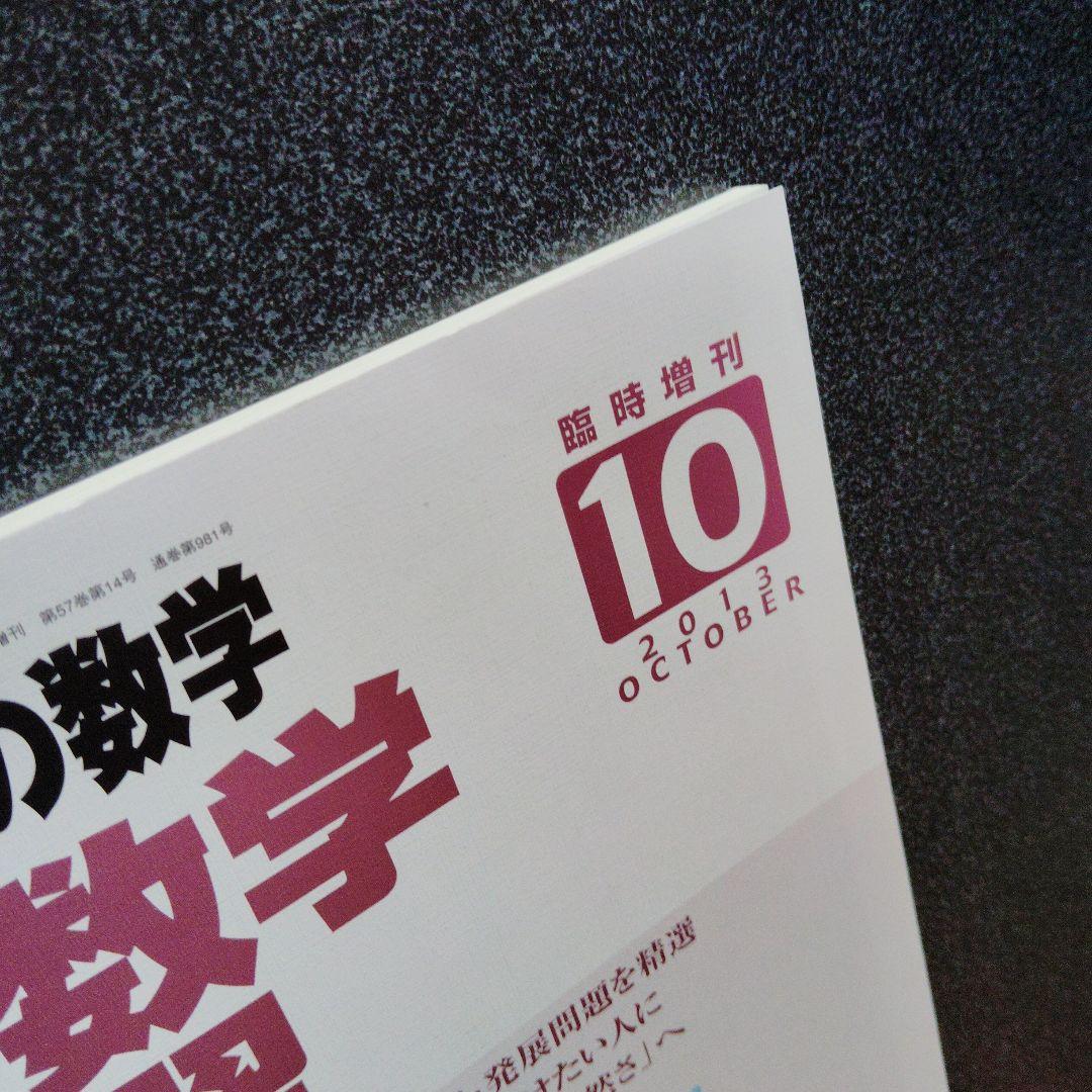 旧版　レア　大学への数学 新数学演習 2013年　東京出版　大学受験　大学入試