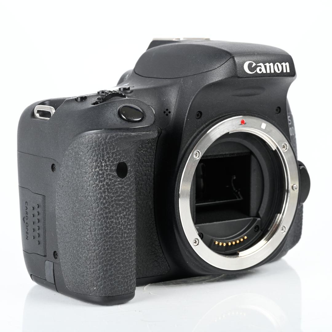 Canon EOS 8000D 箱、付属品付