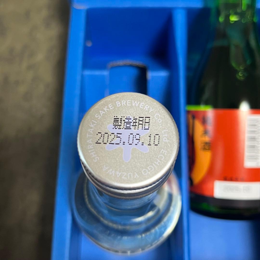 紫苑【No1】