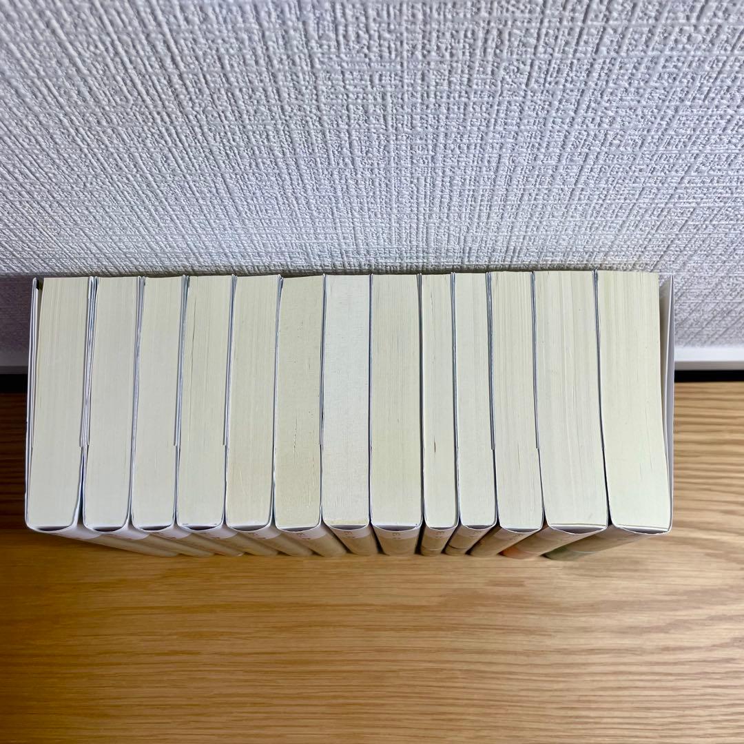 【全巻セット】真山仁「ハゲタカ」シリーズ １３冊セット