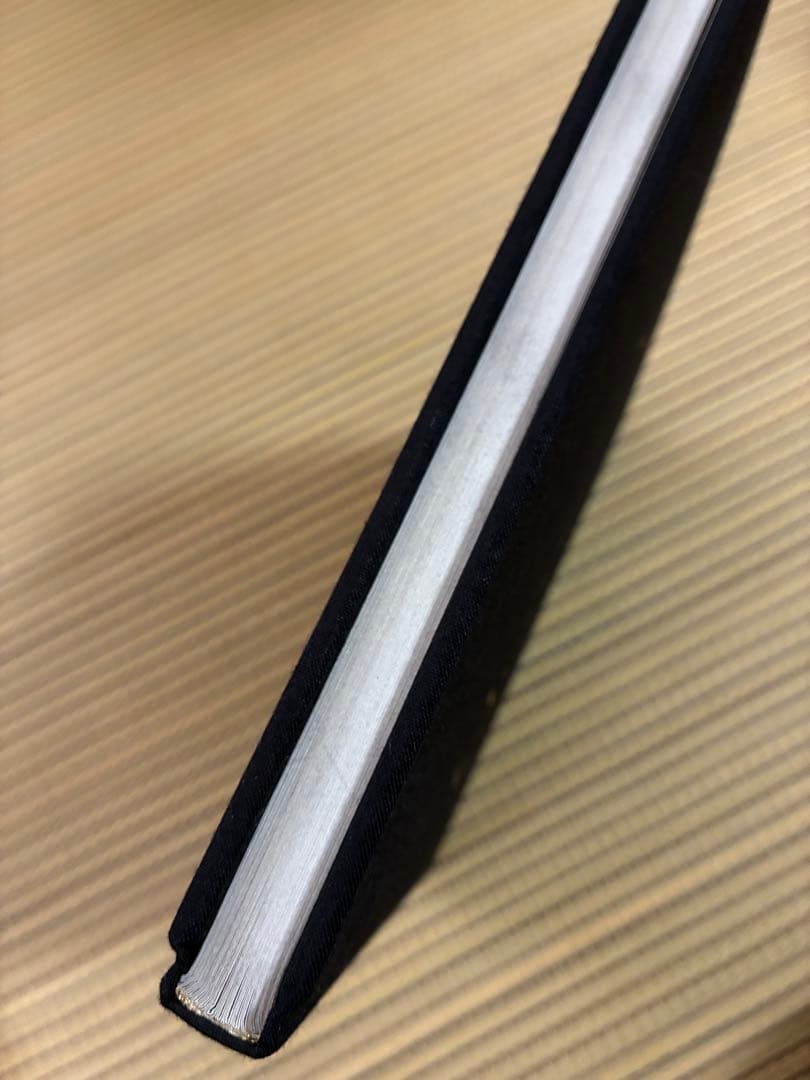 幻視 Genshi 柴岡秀和SHIBAOKA HIDEKAZU