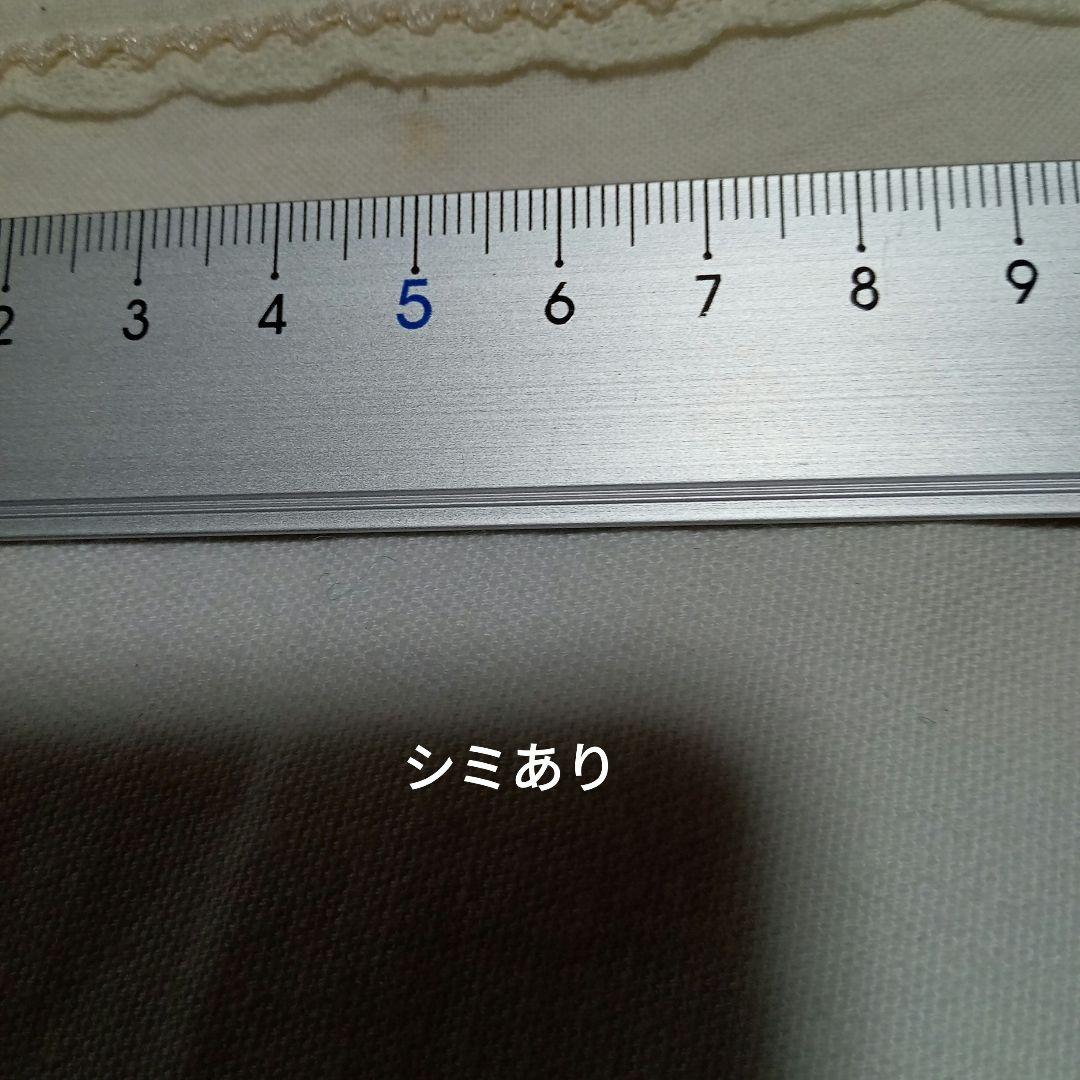 d*3様 カネコイサオ スカート 花モチーフ付き ピンタック ピコット 生成り