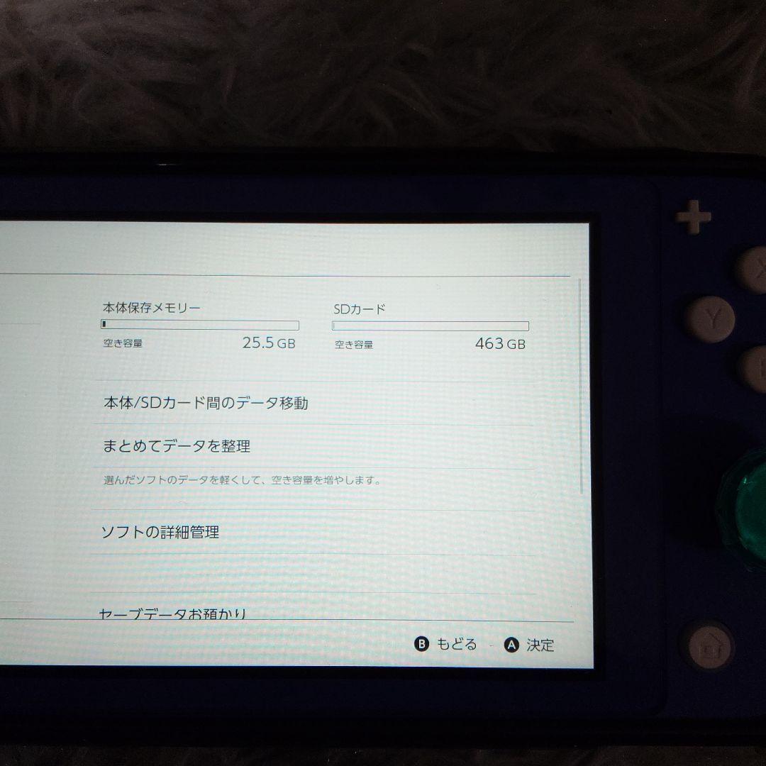 Nintendo Switch Lite ブルー　大容量SDカード付き