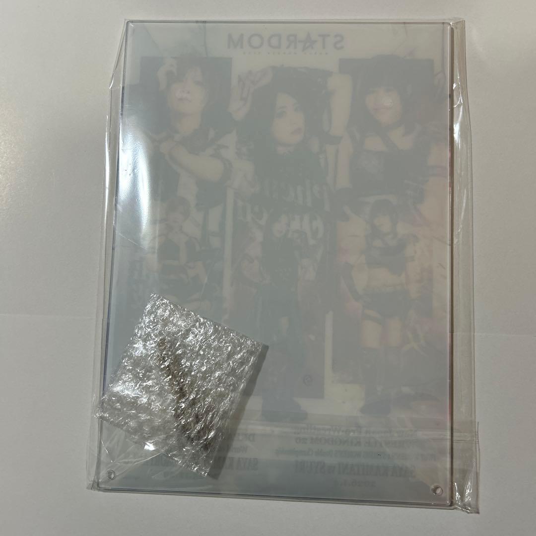 上谷沙弥 安納サオリ 朱里 フィニッシュ賞 A4アクリルパネル くじ スターダム