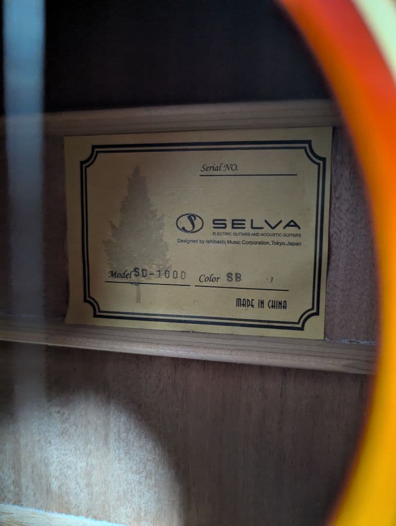 ぜん トップ単板? ハードケース付き SELVA SD-1000 SB