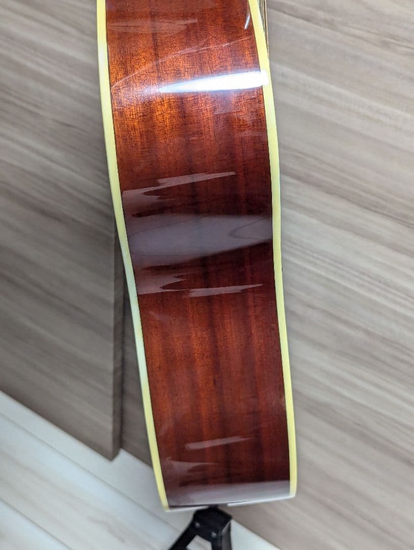 ぜん トップ単板? ハードケース付き SELVA SD-1000 SB