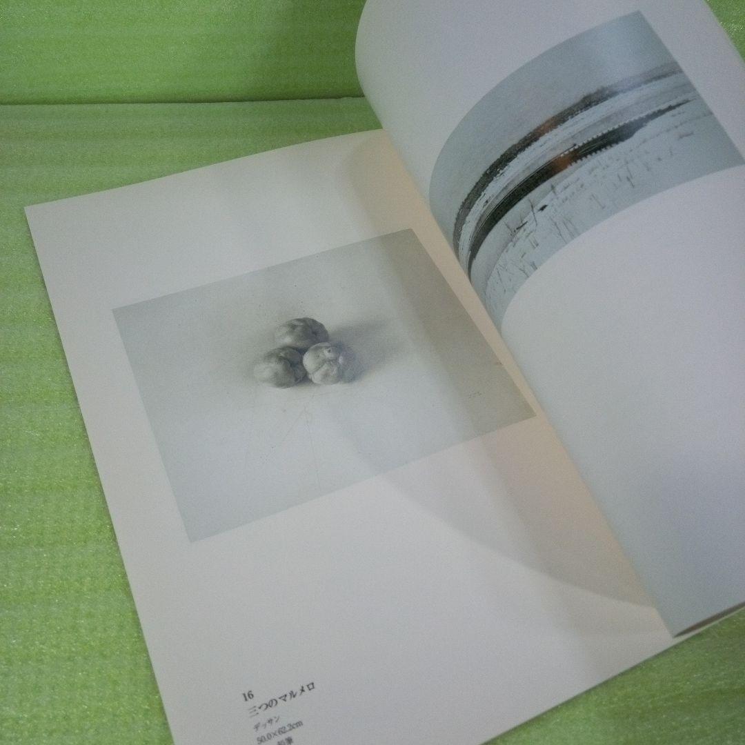 Gustavo ISOE　磯江 毅　1994-2004　図録　①