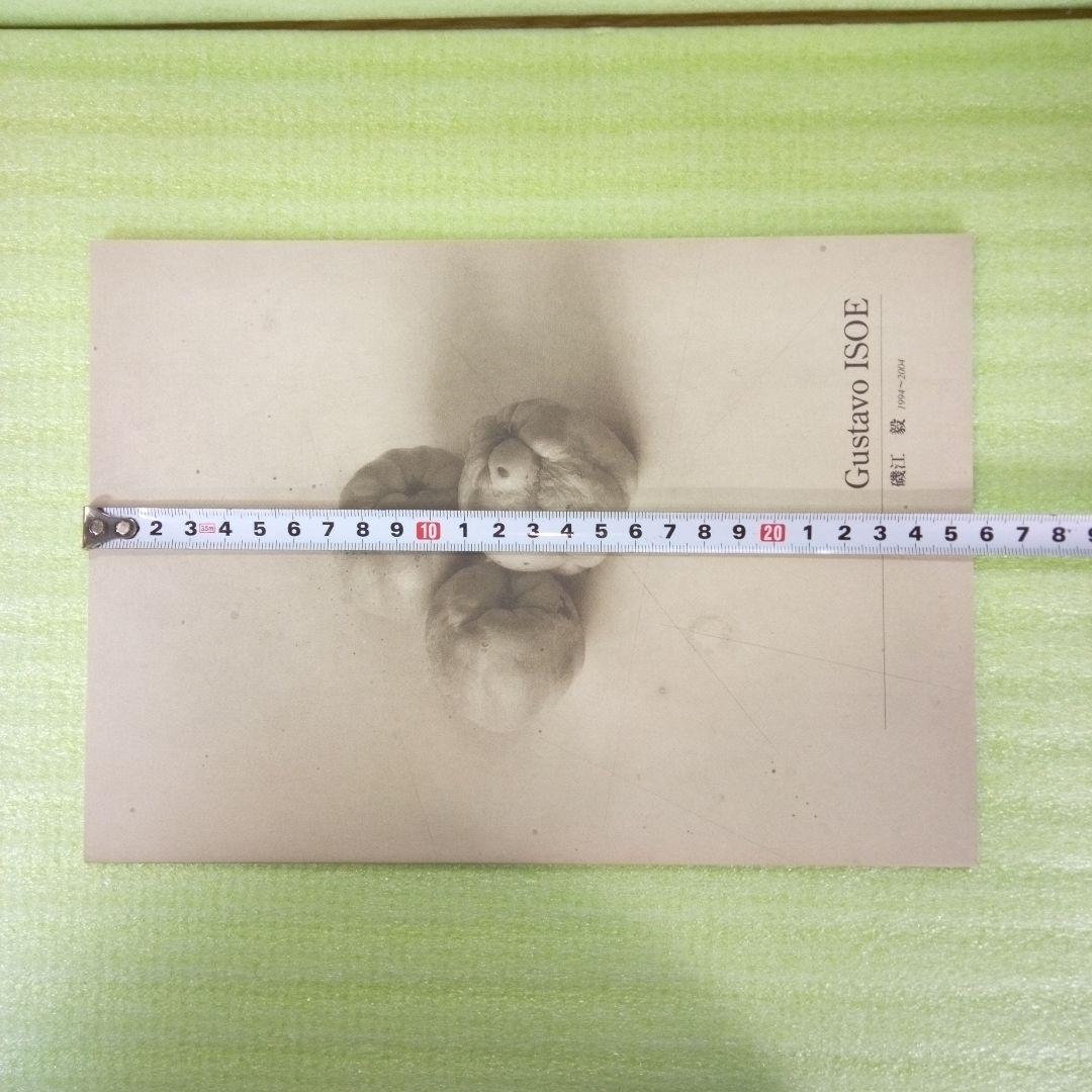 Gustavo ISOE　磯江 毅　1994-2004　図録　①