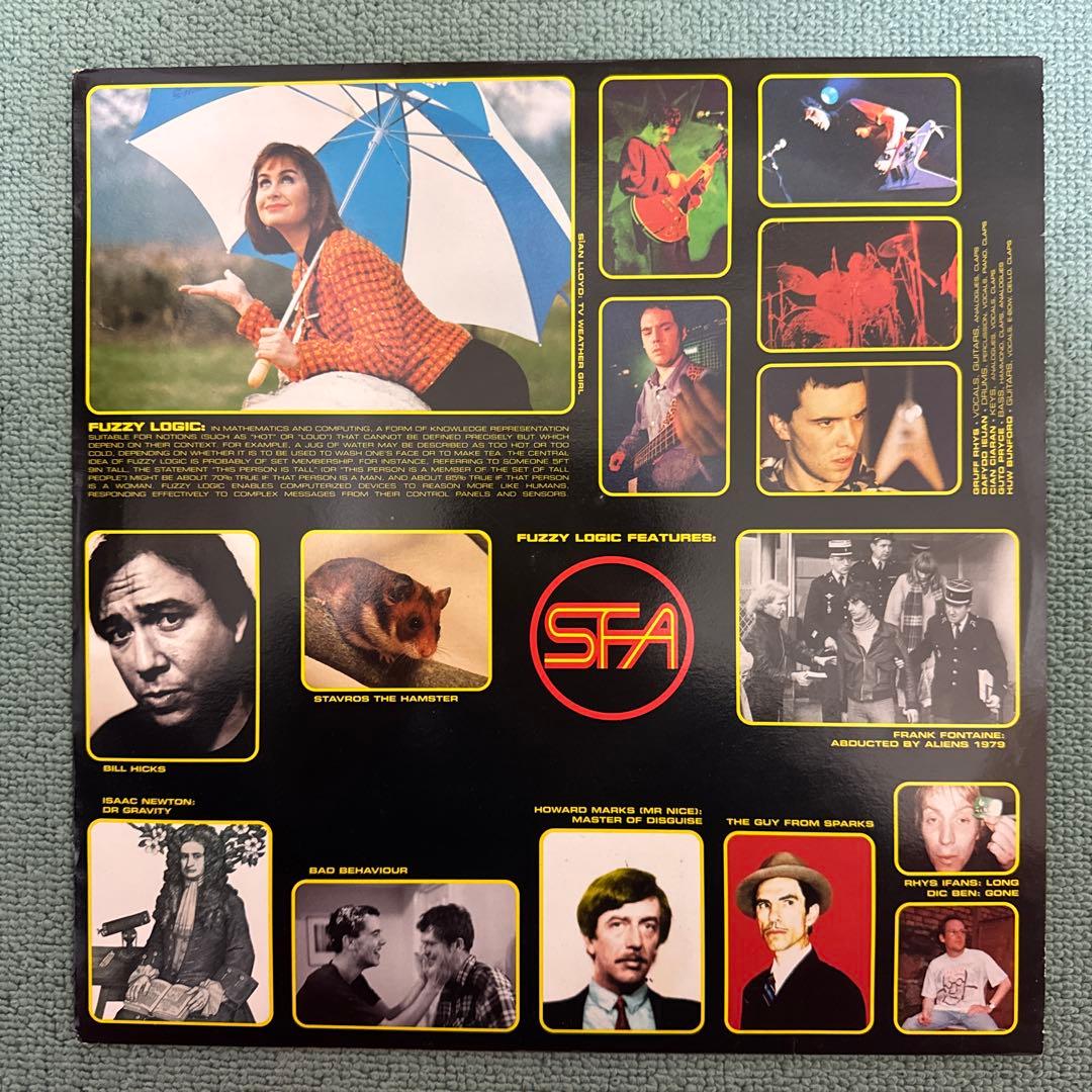 SUPER FURRY ANIMALS『FUZZY LOGIC』LP レコード