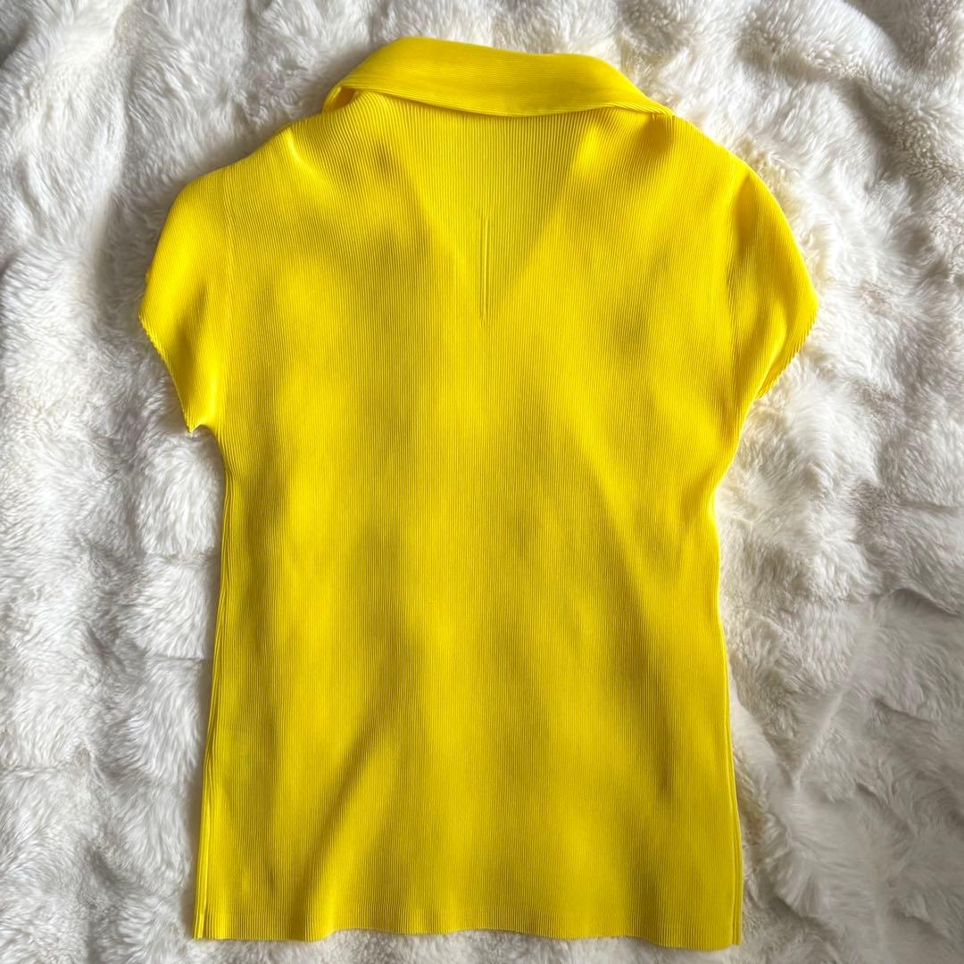 綺麗✨　PLEATS PLEASE イッセイミヤケ　カットソー　半袖　ポロ