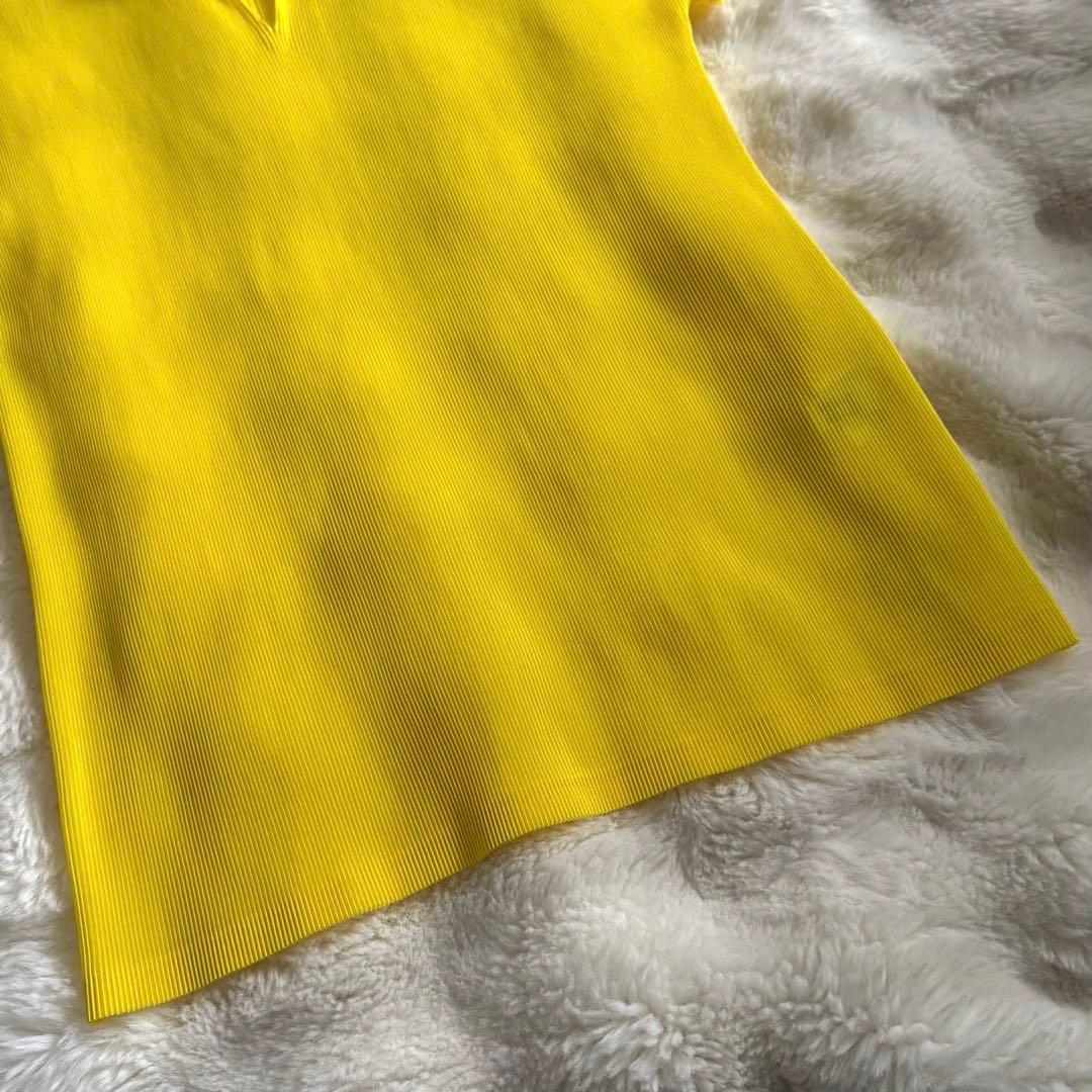 綺麗✨　PLEATS PLEASE イッセイミヤケ　カットソー　半袖　ポロ