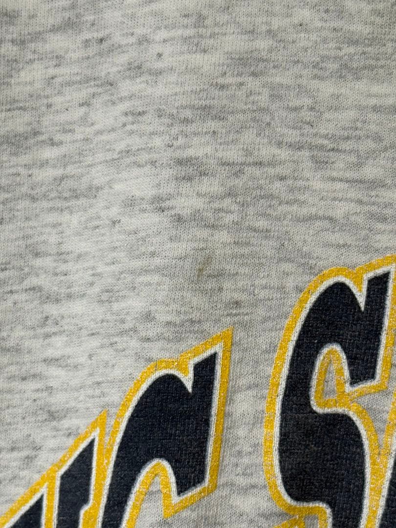 90s USA製 UC SANTA CRUZ BANANA SLUGS Tシャツ