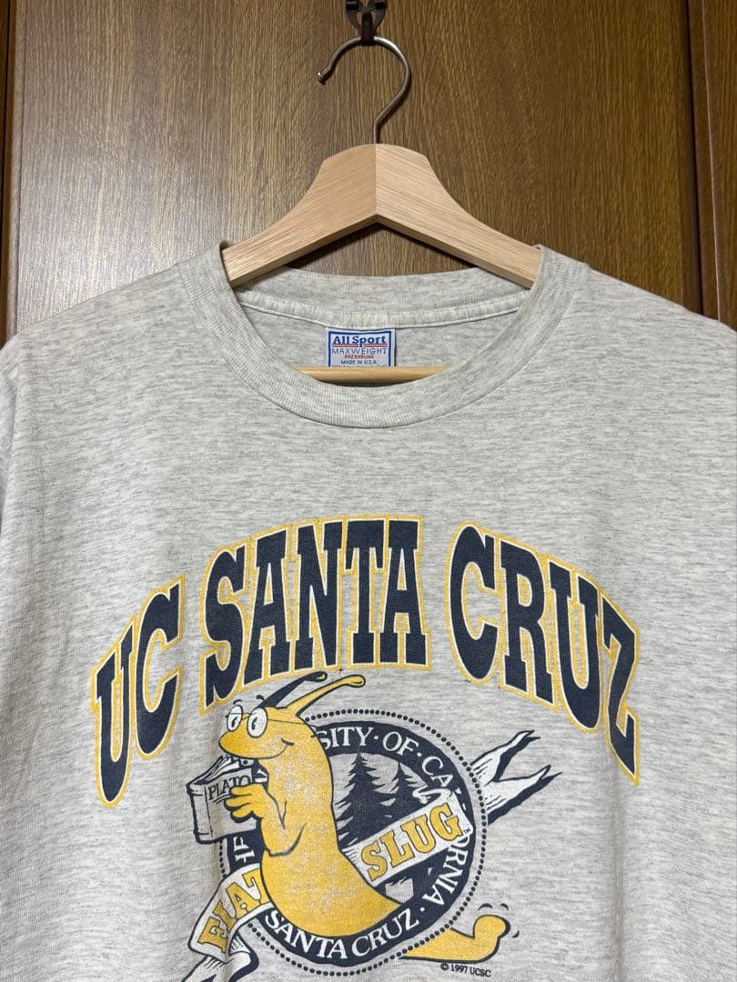 90s USA製 UC SANTA CRUZ BANANA SLUGS Tシャツ