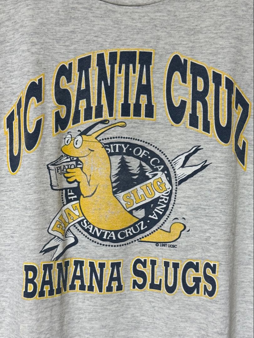 90s USA製 UC SANTA CRUZ BANANA SLUGS Tシャツ