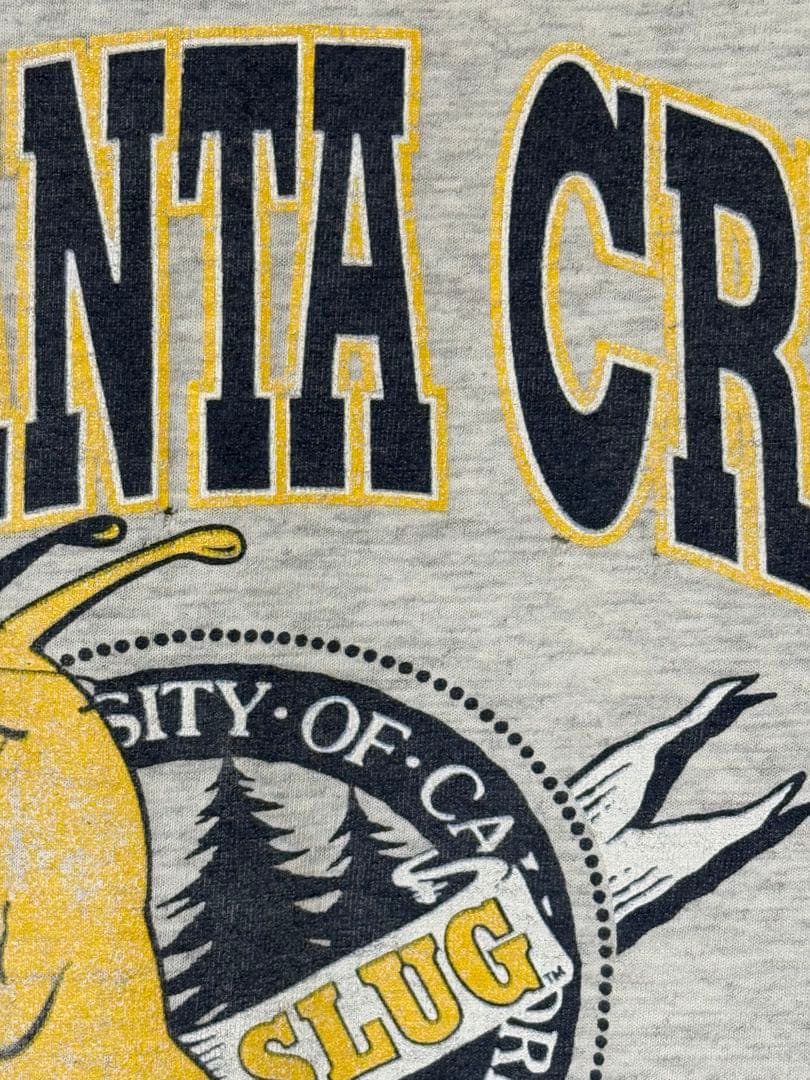 90s USA製 UC SANTA CRUZ BANANA SLUGS Tシャツ