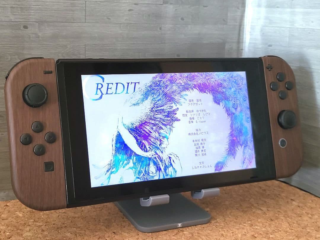 Nintendo Switch ドックセット 動作品/点検整備済品