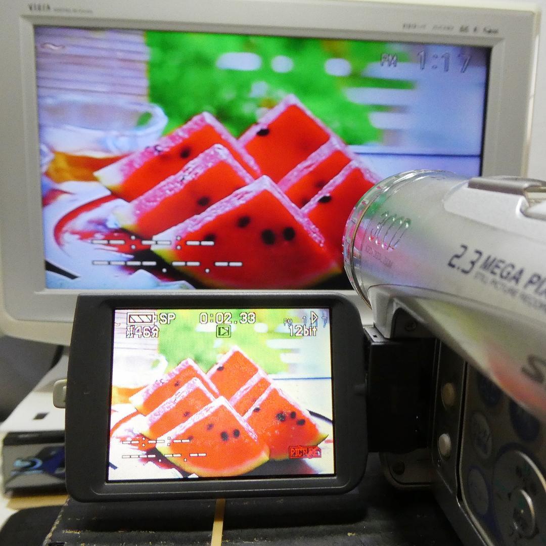動作良好 パナソニック NV-GS200 MiniDVビデオDVDダビングに最適